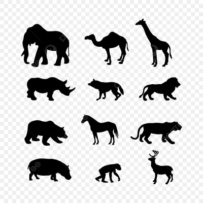 иллюстрации около Комплект диких животных серого цвета для детей и дизайна  Изображение характера, зайца, носорога, striped… | Дикие животные, Животные,  Цветные игры