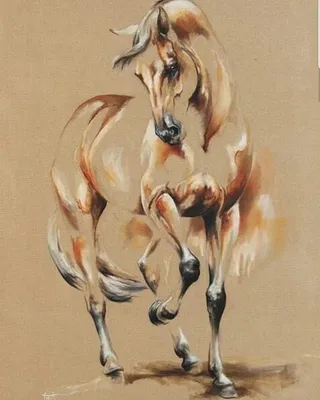 Лошадь старый рисунок - 76 фото