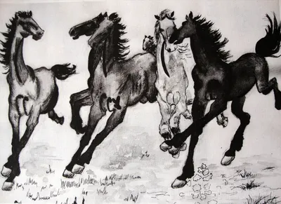 Принцесса зимы с изображением 2 лошадей Иллюстрация вектора - иллюстрации  насчитывающей притяжка, бобра: 168709435