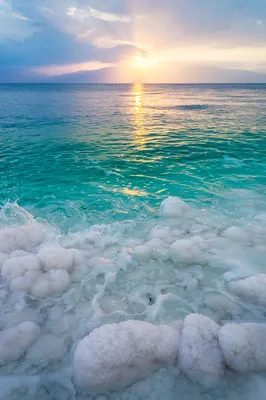 Летний фон для фотосъемки с изображением тропического моря пляжа пальм  Авроры летний праздник Природный Живописный фон реквизит для студии |  AliExpress