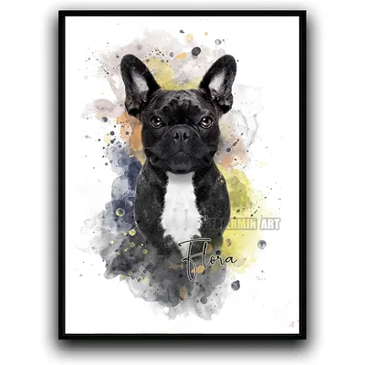 выставка собак красочный баннер PNG , друг, Баннер, обучение PNG картинки и  пнг рисунок для бесплатной загрузки