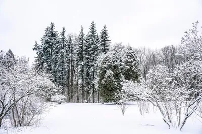 Зима В Горах Фотография, картинки, изображения и сток-фотография без  роялти. Image 10408464