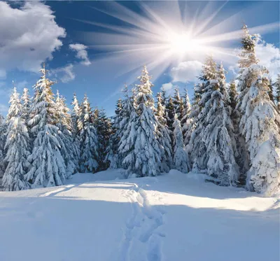 Нейросеть Midjorney нарисовала изображения по словам «Зима в Ораниенбауме»  — Петергоф.Онлайн