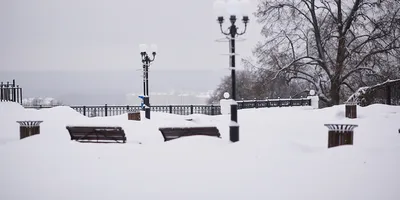 Как будто иллюстрации к доброй сказке. 19 фото настоящей белорусской зимы