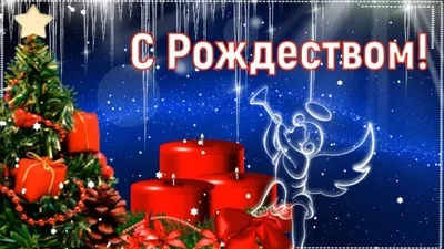 С Рождеством! — Ганцевичский лесхоз