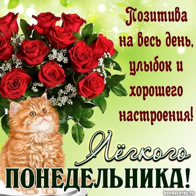 Доброго весеннего понедельника: фото, картинки и открытки - pictx.ru