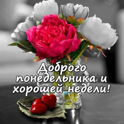 Доброго весеннего понедельника: фото, картинки и открытки - pictx.ru