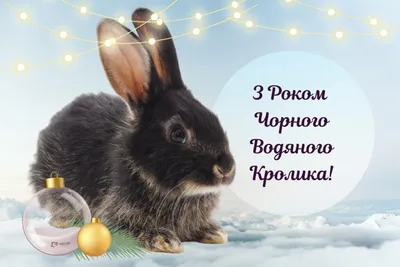 С Китайским Новым Годом! Красивое Музыкальное Поздравление и Песня!  Здоровья! Достатка! Удачи Желаю! - YouTube