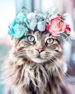 Кошка с цветами» — создано в Шедевруме