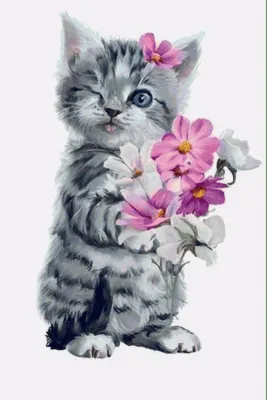 кошка и букет цветов. стоковое фото. изображение насчитывающей декор -  233097826