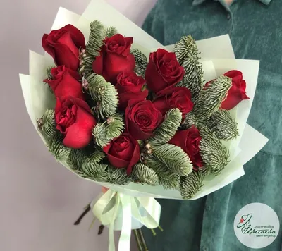 Вейгела цветущая 'Бристол Руби', красные цветы, купить саженцы оптом и в  розницу, с доставкой