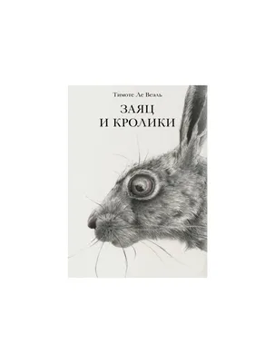23 сентября — Международный день кролика - Российская Государственная  библиотека для слепых