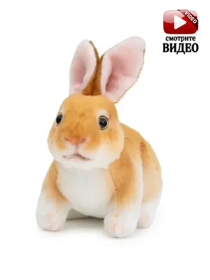 1 377 989 рез. по запросу «Кролик» — изображения, стоковые фотографии,  трехмерные объекты и векторная графика | Shutterstock