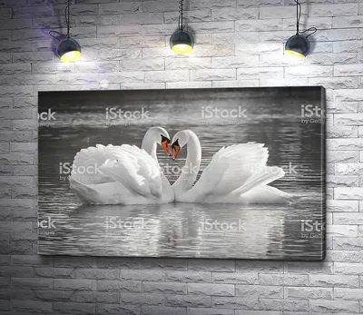Картина с Лебедями» картина Кирилловой Юлии маслом на холсте — купить на  ArtNow.ru