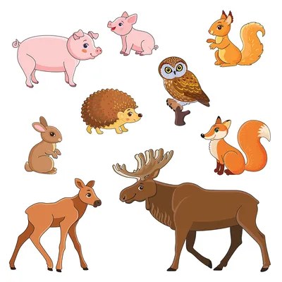 Иллюстрация Лесные животные в стиле детский | Illustrators.ru