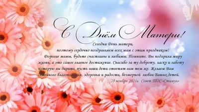 Дорогие женщины, мамы! :: Krd.ru