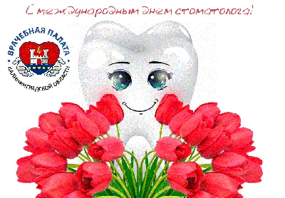 Поздравляем врачей-стоматологов с профессиональным праздником — Международным  днем стоматолога! — Врачебная палата Калининградской области