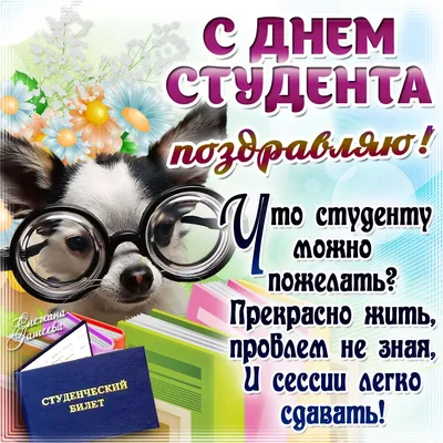 Как поздравить с Днем студента — поднимаем тост за День студента 2023 —  искренние пожелания своими словами