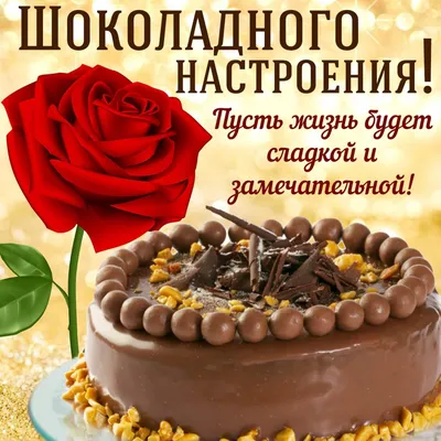Торты на заказ Алматы 🍰 on Instagram: \"Сегодня ещё один замечательный  праздник. 20 июля является Международным днём торта.☺️ Компания Назик  поздравляет с чудесным праздником и приглашает вас посетить наши фирменные  магазины и