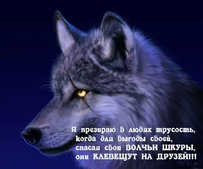 Мудрости пост : r/wisdom_post_ru