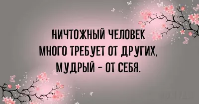 Кружка пивная Подарки для воды, для глинтвейна \"Эликсир мудрости\", 500 мл -  купить по низким ценам в интернет-магазине OZON (913173998)