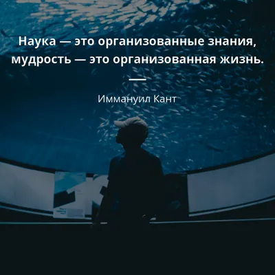 life_andmeaning_ #live #love #цитаты #фразы #книги #мудрость | Instagram