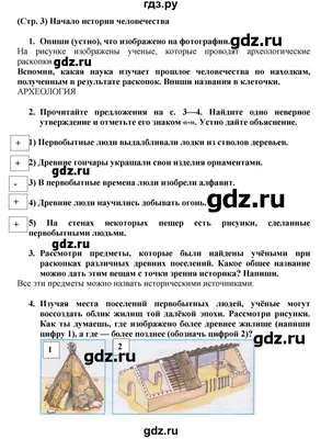 Рейтинг европейских стран по ценам на бензин – начало III кв. 2013 г. |  Инфографика | РИА Рейтинг