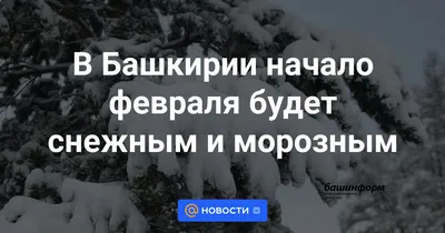 Снежное начало февраля: какой будет погода в Беларуси на следующей неделе —  Реальный Брест