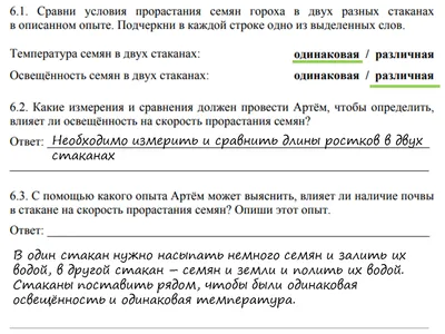 Русский язык. 4 класс (Перспектива). Проверочные работы. Михайлова С. Ю. —  купить в интернет-магазине по низкой цене на Яндекс Маркете