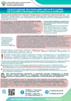 Александр Хинштейн: «Безопасность – это всегда дорогое удовольствие» -  Ведомости