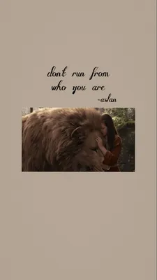 narnia | Narnia quotes, Narnia, Aslan narnia