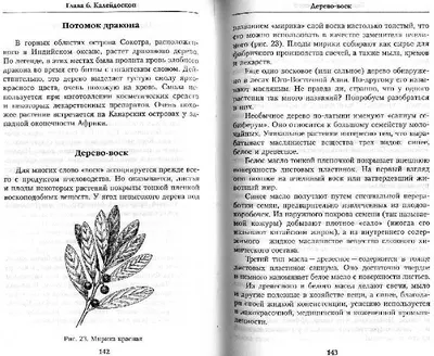 Иллюстрация 11 из 11 для Загадки царства растений - Светлана Кривушина |  Лабиринт - книги. Источник: Росинка