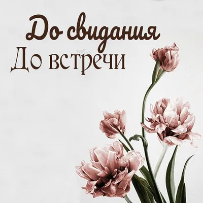 Тысячи людей в сети жалеют о том, «что не все поймут, в чем же дело». Что  это за мем и как он захватил Рунет?: Мемы: Интернет и СМИ: Lenta.ru