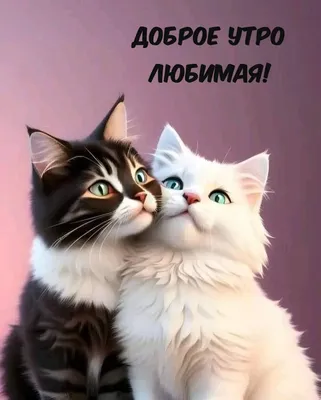❄🌞🎅 С добрым утром! 🌲 | Поздравления, пожелания, открытки! | ВКонтакте