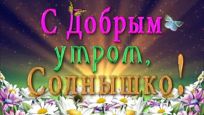 65 лучших открыток ДОБРОЕ УТРО, СОЛНЫШКО!