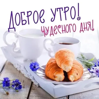 Кружка с принтом Доброе утро Солнышко! | AliExpress