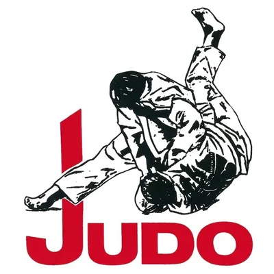 Aika \"Яркость и стиль в спорте\" Футболка Дзюдо с надписью Judo