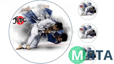 Aika \"Яркость и стиль в спорте\" Футболка с надписью Judo (Дзюдо)