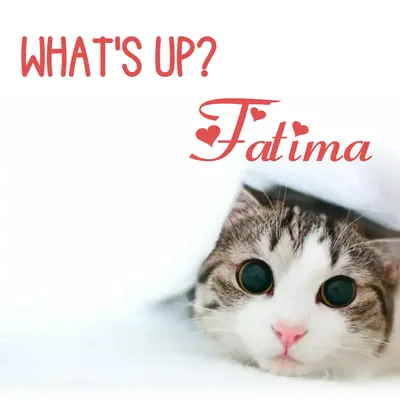Картинки «С Днём Рождения, Фатима!»: 50 открыток