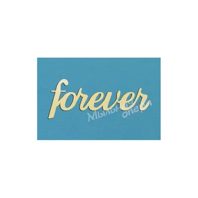 Forever, ink hand lettering. Stock Vector by ©Ksu_Ganz 117826654