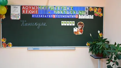 У админа каникулы | Пикабу