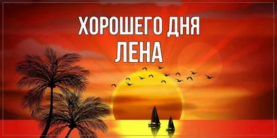 Майка черная с принтом «Лена всегда права» — Futboholic, акция действует до  21 мая 2018 года | LeBoutique — Коллекция брендовых вещей от Futboholic —  4264698