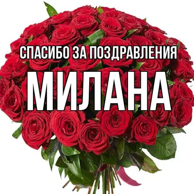 Звезда шар именная, фольгированная, красная, с надписью \"С днем рождения,  Милана!\" - купить в интернет-магазине OZON с доставкой по России (934538395)