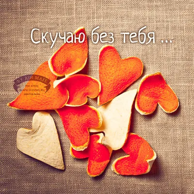 goodbye #бсд #дазай #рекомендации | TikTok