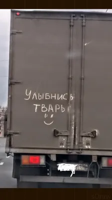 Тварь»: забор депутата в Волгоградской области «украсили» надписью, -  \"Блокнот Волгограда\"