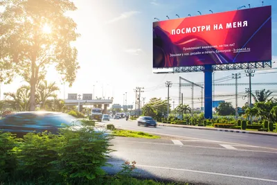 Прикольные картинки про туалет с надписью (60 фото)