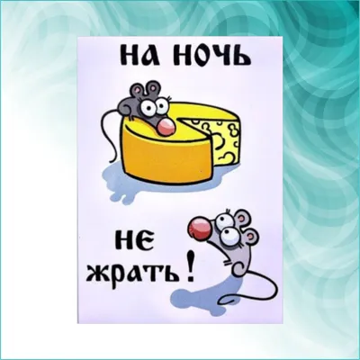 Сувенирный магнит с надписью \"На ночь не жрать!\" (Размер 21х15см. А5) (id  112684662), купить в Казахстане, цена на Satu.kz