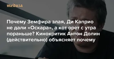 Наклейки на автомобиль с надписью «Будьте в курсе собак», украшение в стиле  аниме, 12 см * 8 см | AliExpress