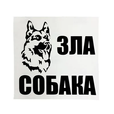 Анна Мухина считает, что пишет про «безобидную социалку», но герои  публикаций теперь всерьез переживают, не будет ли у них проблем с… |  Instagram