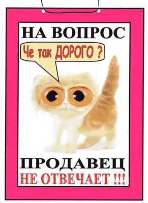 надпись. вопрос, почему? значок. черный викторина, изолированный на белом  фоне. неопределённость квазий. Иллюстрация вектора - иллюстрации  насчитывающей сомнение, информация: 264640298